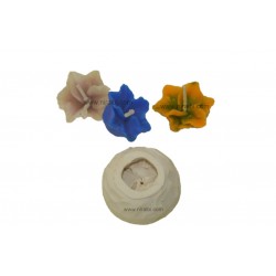 Champa Silicone Rubber Moulds