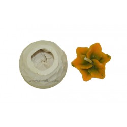 Niral Champa With Base Silicon Mould