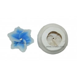 SL255, Champa With Base Silicon Mould