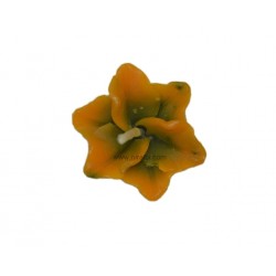 Niral Industries, Champa With Base Silicon Mould
