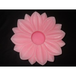 Big Lotus Flower...