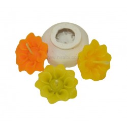 Attractive Sunflower Mould