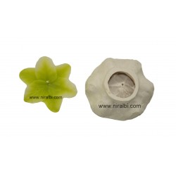 Flower Floating Candle Mould